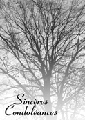 Arbre majestueux en m&eacute;moire et recueillement